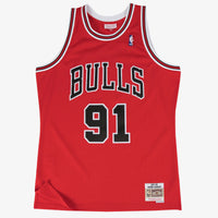 Chicago Bulls jersey – view 1