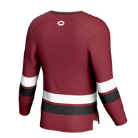 UChicago Maroons GameDay Greats Maroon jersey – view 4