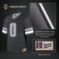 Delaware Fightin' Blue Hens GameDay Greats Royal jersey – view 5