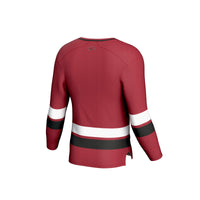 Arkansas Razorbacks GameDay Greats Cardinal jersey – view 4