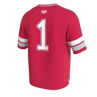 New Mexico Lobos GameDay Greats jersey – view 4