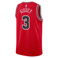 Chicago Bulls jersey – view 4