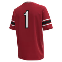 South Carolina Gamecocks jersey – view 4