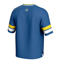 Delaware Fightin' Blue Hens Royal jersey – view 4
