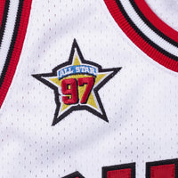 Chicago Bulls jersey – view 5