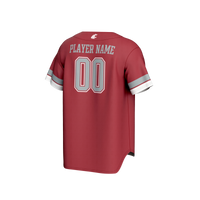 Washington State Cougars GameDay Greats jersey – view 4