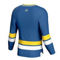Delaware Fightin' Blue Hens GameDay Greats Royal jersey – view 4