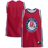 Detroit Mercy Titans GameDay Greats Blue jersey – view 2
