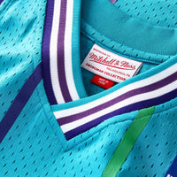 Charlotte Hornets Alonzo Mourning jersey – view 4