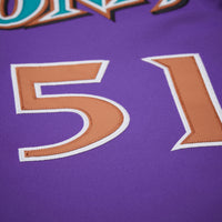 Arizona Diamondbacks Randy Johnson Purple jersey – view 8