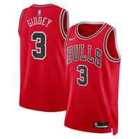 Chicago Bulls jersey – view 2