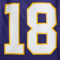 Minnesota Vikings Justin Jefferson Purple jersey – view 15