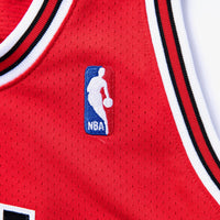 Chicago Bulls jersey – view 5