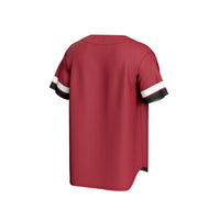 Arkansas Razorbacks GameDay Greats jersey – view 4