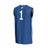 Florida Gulf Coast Eagles Blue jersey – view 4