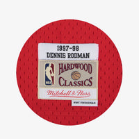 Chicago Bulls jersey – view 4