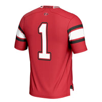 San Diego State Aztecs Cardinal jersey – view 4
