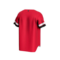 Rutgers Scarlet Knights Baseball Scarlet jersey – view 4