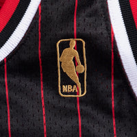 Chicago Bulls jersey – view 5