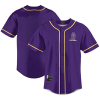 UAlbany Great Danes GameDay Greats Purple jersey – view 2