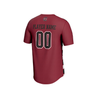 South Carolina Gamecocks GameDay Greats jersey – view 4