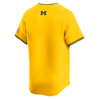 Nike Maize Michigan Wolverines Alternate Limited Baseball Jersey – view 4
