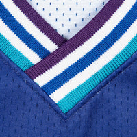 Charlotte Hornets jersey – view 6