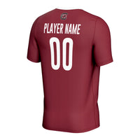 South Carolina Gamecocks GameDay Greats jersey – view 4