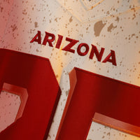 Arizona Cardinals Pat Tillman jersey – view 5