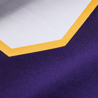 Minnesota Vikings Adrian Peterson Purple jersey – view 6