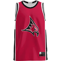Wisconsin-River Falls Falcons GameDay Greats Red jersey – view 3