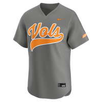 Gray jersey – view 3