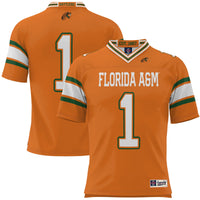 Florida A&M Rattlers Orange jersey – view 2