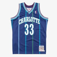 Charlotte Hornets jersey – view 2