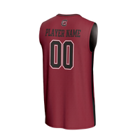South Carolina Gamecocks GameDay Greats jersey – view 4