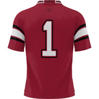 Arkansas Razorbacks Cardinal jersey – view 4