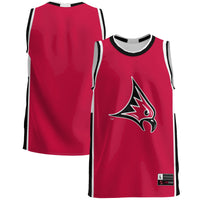 Wisconsin-River Falls Falcons GameDay Greats Red jersey – view 1