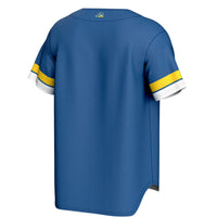 Delaware Fightin' Blue Hens GameDay Greats Royal jersey – view 4