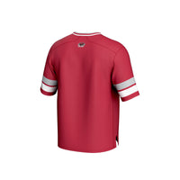 Saint Joseph's Hawks GameDay Greats jersey – view 4
