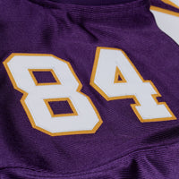 Minnesota Vikings Randy Moss Purple jersey – view 10