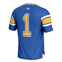 Pitt Panthers Cardinal jersey – view 4