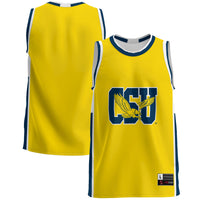 Coppin State Eagles GameDay Greats Blue jersey – view 2