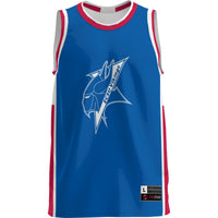 Elizabeth City State University Vikings GameDay Greats Royal jersey – view 3