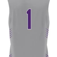 Furman Paladins Gray jersey – view 4